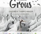 Campo Maior: VI Festival dos Grous