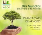 A Câmara Municipal irá assinalar o Dia Mundial da Árvore e da Floresta com a plantação de árvores na Zona Desportiva de Arronches