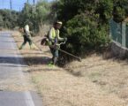 A Câmara Municipal de Elvas consignou a empreitada de limpeza e corte de infestantes por todo o concelho, num investimento na ordem dos 50 mil euros.