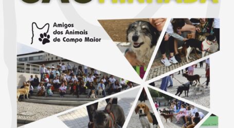 O Município de Campo Maior, em parceria com o Grupo dos Amigos dos Animais de Campo Maior organiza a CÃOMINHADA