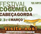 5.ª edição do Silarca Festival do Cogumelo