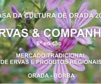 Borba: Ervas & Companhia 2019