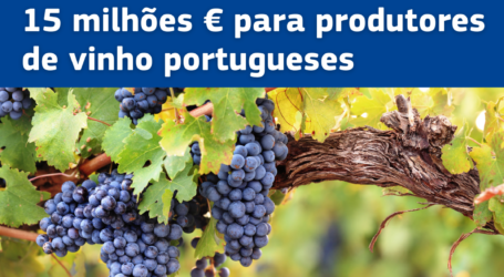 Comissão propõe pacote de apoio de 15 milhões de euros destinado aos produtores de vinho portugueses