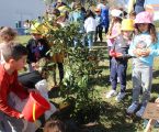 Comemorações do Dia Mundial da Árvore dão origem à plantação de 21 árvores em estabelecimentos de ensino do concelho