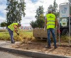 Moura: Arrancou a obra de requalificação do Jardim de Santa Justa