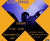 LITTLE_ORANGE