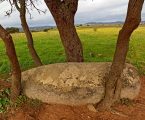 Carta Arqueológica de Reguengos de Monsaraz vai permitir conhecer centenas de sítios arqueológicos no concelho