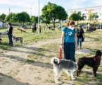 O Novo Parque Canino de Évora já abriu ao Público