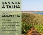 “Da Vinha à Talha” é a próxima atividade, em Amareleja