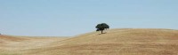 alentejo_paisagem