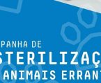 Beja lança campanha para esterilização de animais errantes