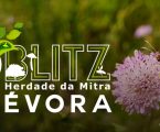 O primeiro BioBlitz organizado pela Universidade de Évora através do Instituto Mediterrâneo para a Agricultura, Ambiente e Desenvolvimento (MED)