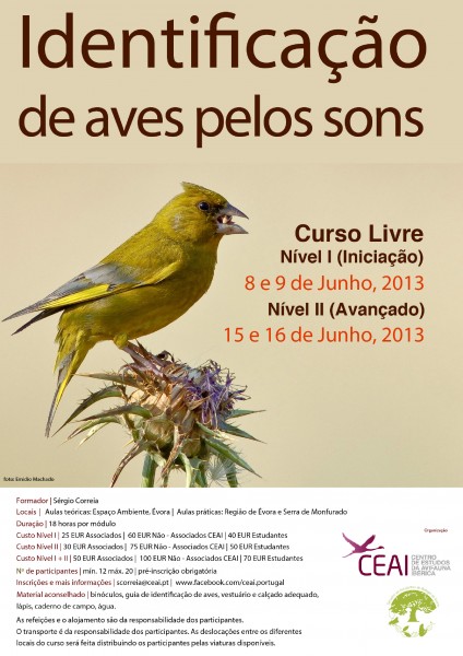 curso sons aves