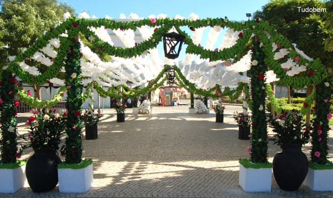 jardim_florido(8)