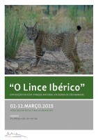 lince_iberico